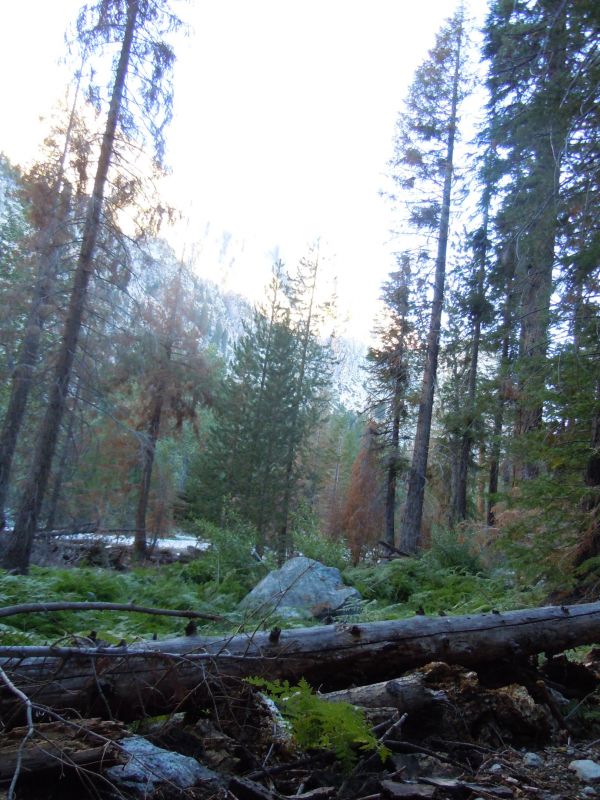 DSCN1322.JPG