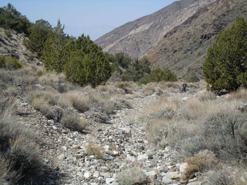 Panamint City 2013
