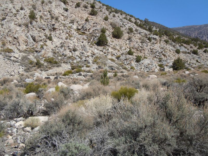 Panamint City 2013
