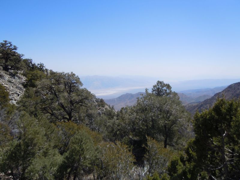 Panamint City 2013
