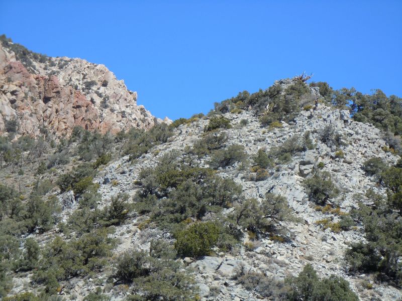 Panamint City 2013
