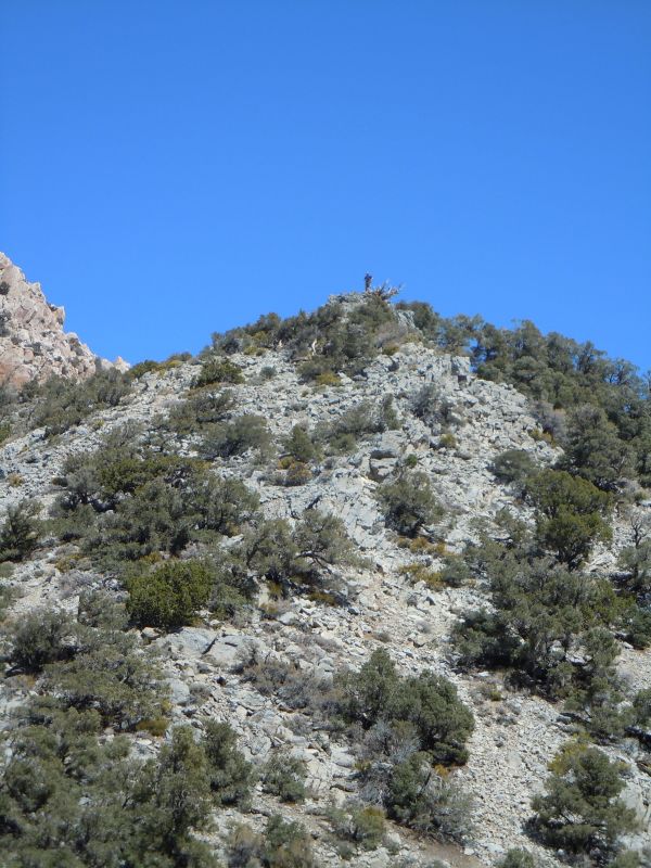 Panamint City 2013
