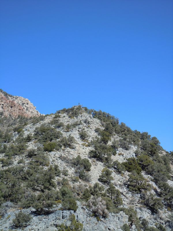 Panamint City 2013
