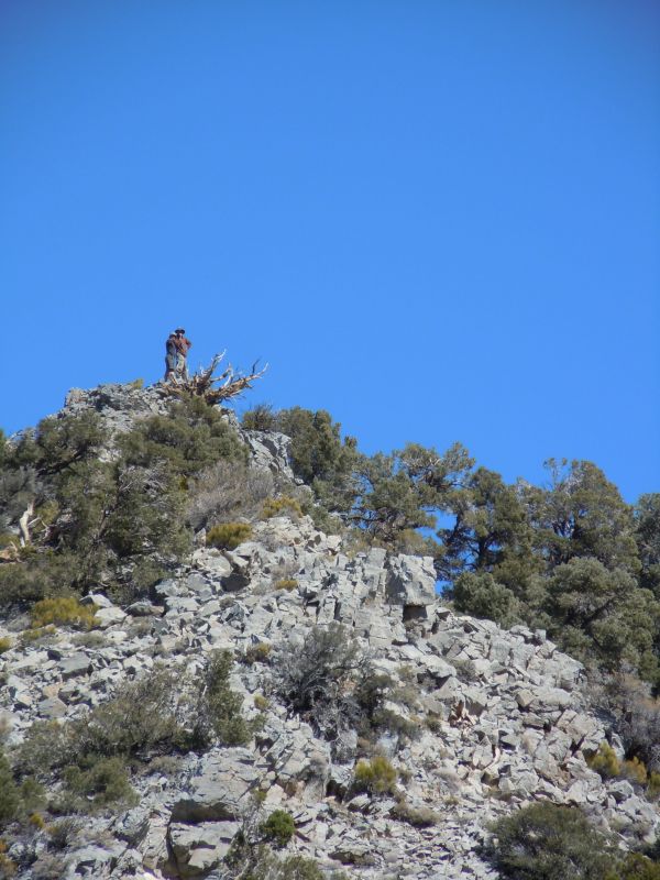 Panamint City 2013
