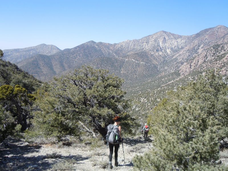 Panamint City 2013
