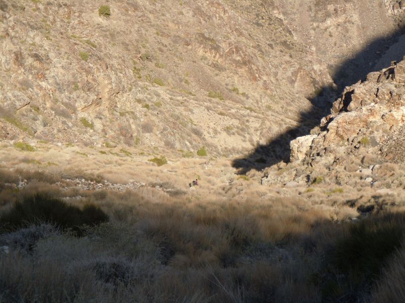Panamint City 2013
