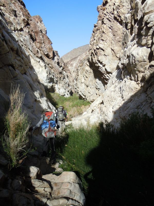Panamint City 2013
