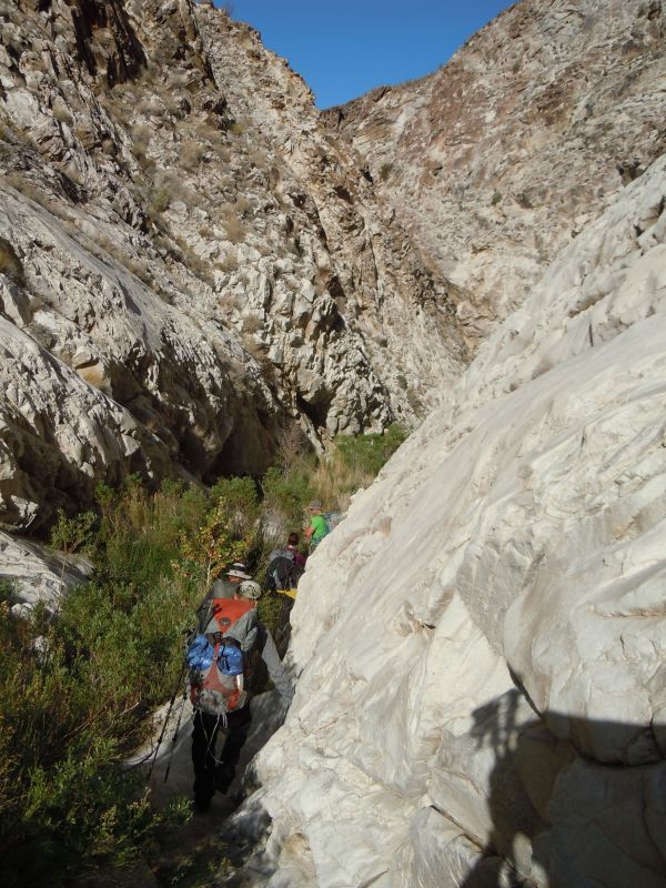 Panamint City 2013
