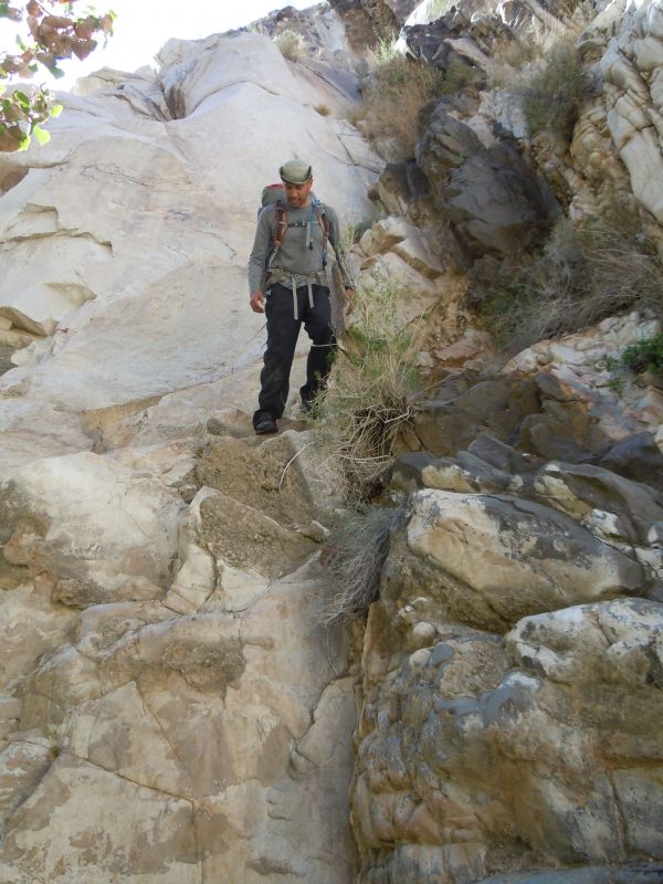 Panamint City 2013
