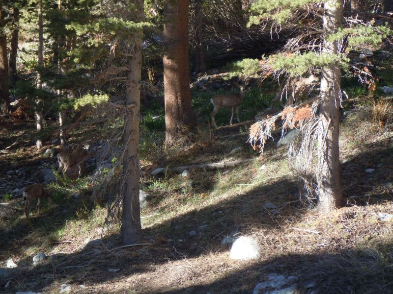 DSCN1547.JPG