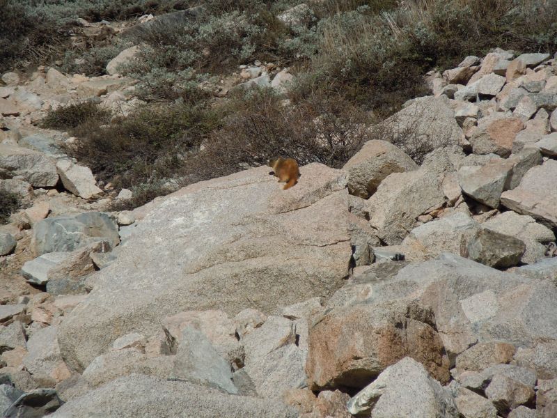 DSCN1548.JPG