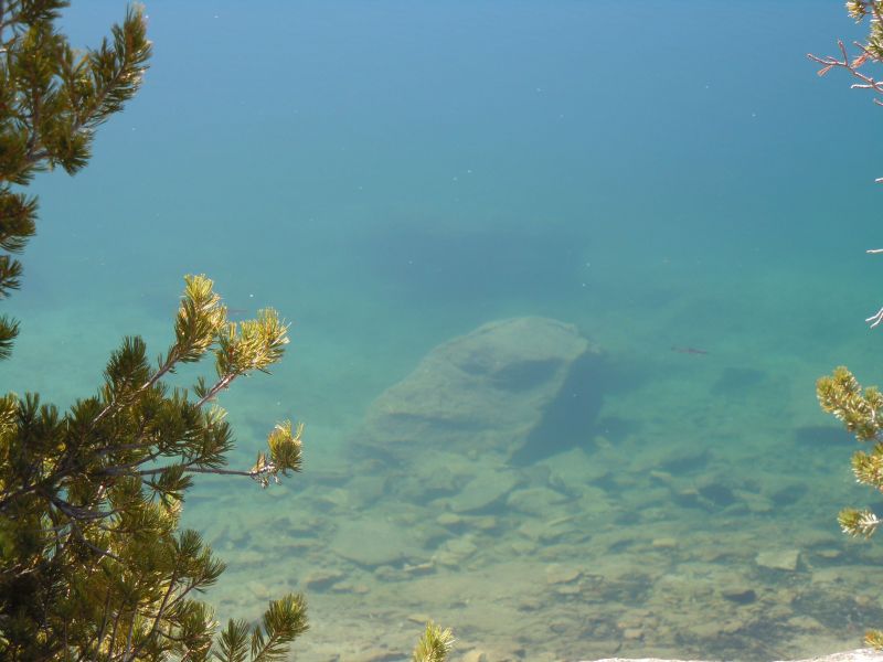 DSCN1586.JPG