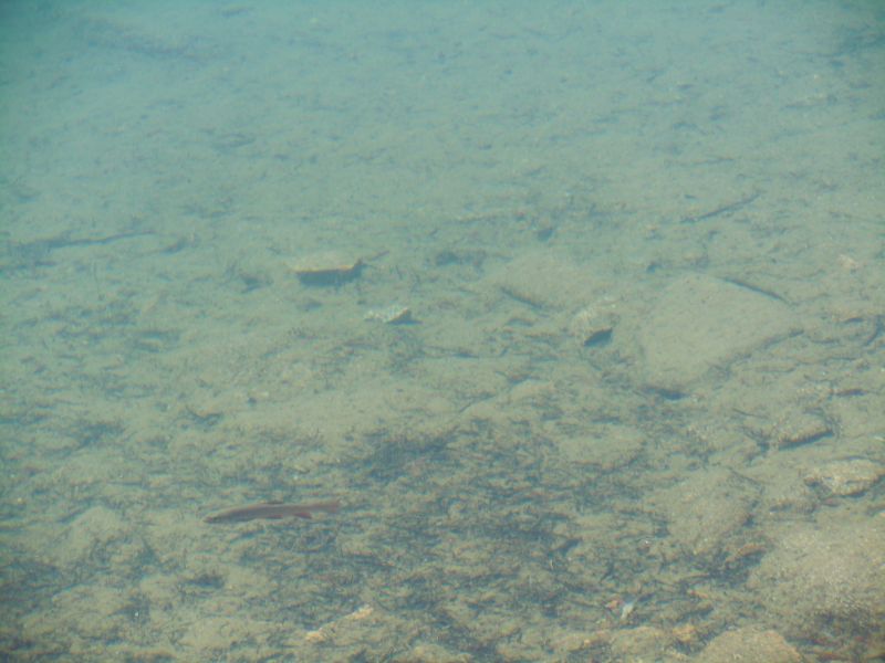 DSCN1587.JPG
