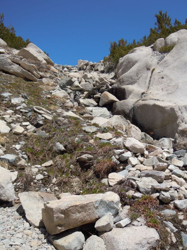 DSCN1596.JPG