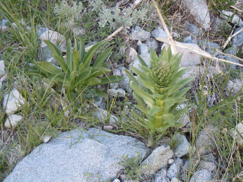 DSCN1608.JPG