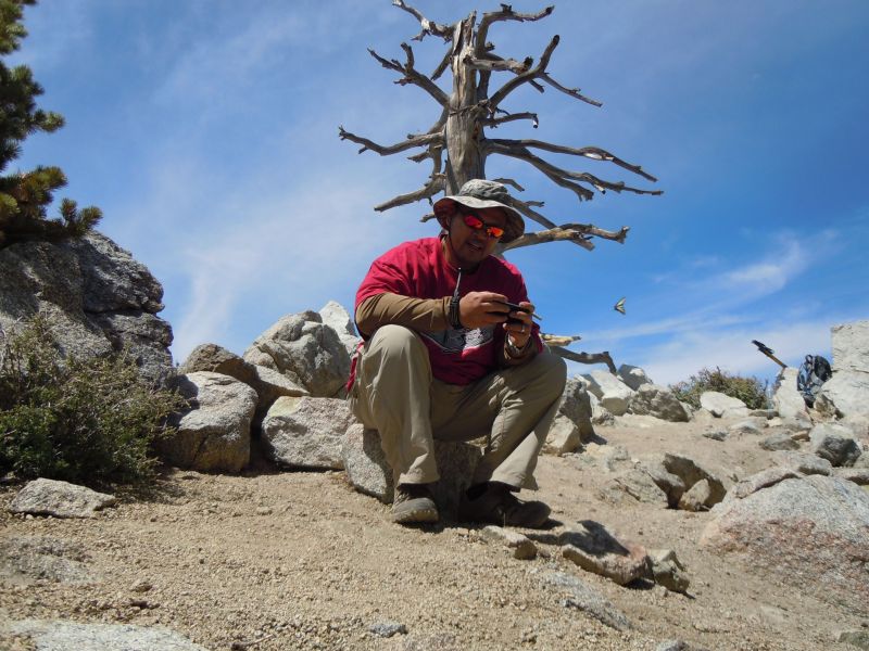 On Ontario Peak
