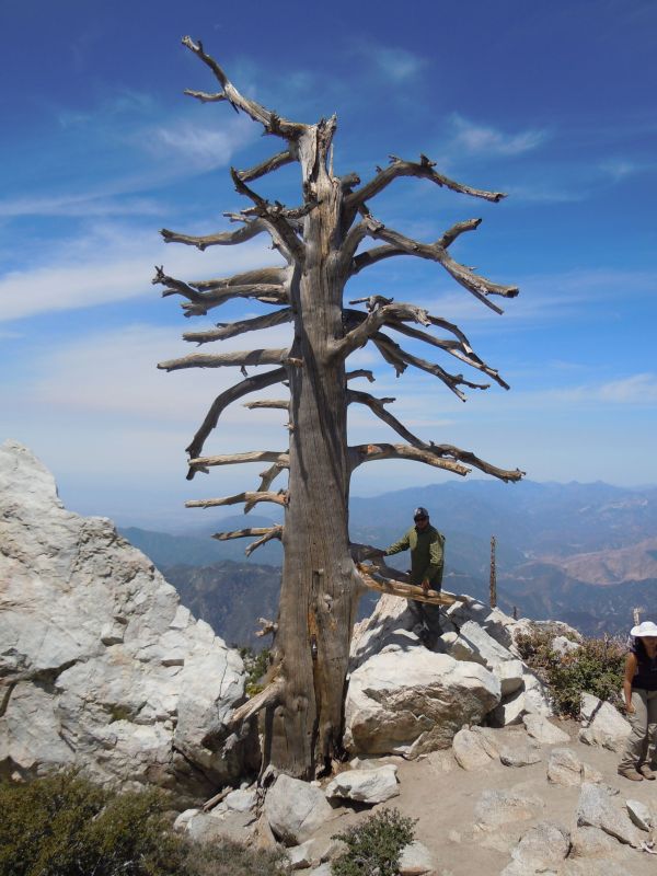 On Ontario Peak
