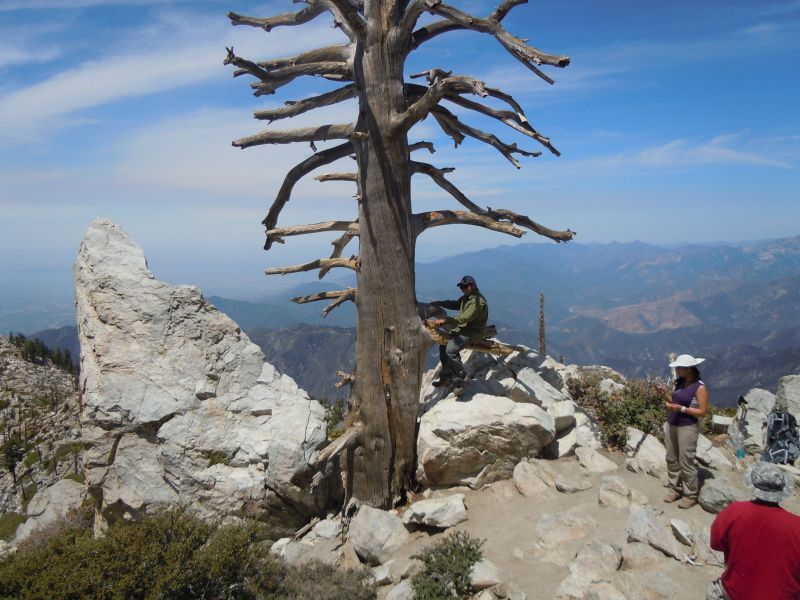 On Ontario Peak
