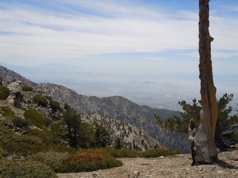 Near Ontario Peak
