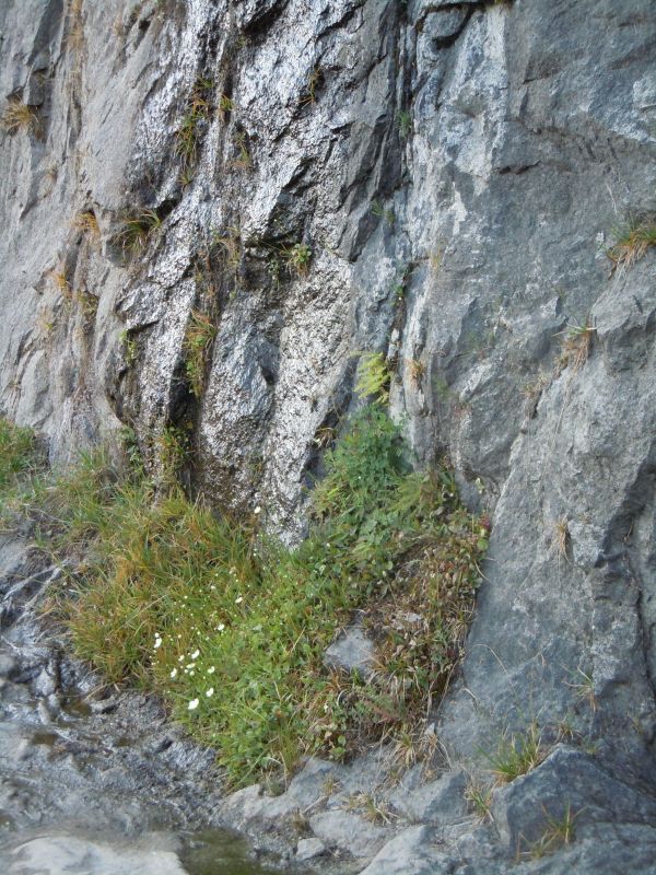 DSCN1671.JPG