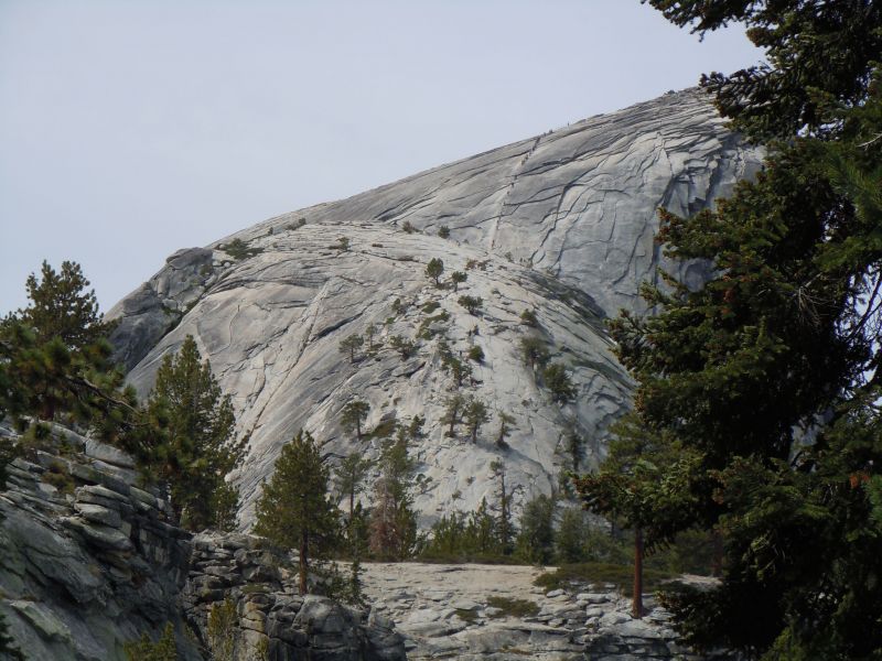 view of Half dome cables

