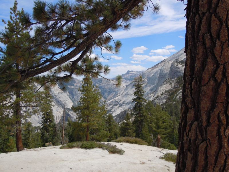 DSCN1705.JPG