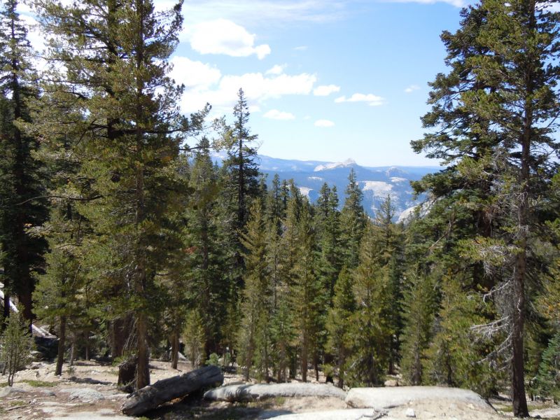 DSCN1750.JPG