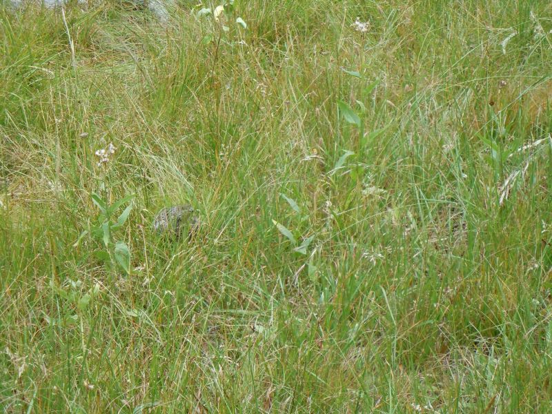 DSCN1755.JPG