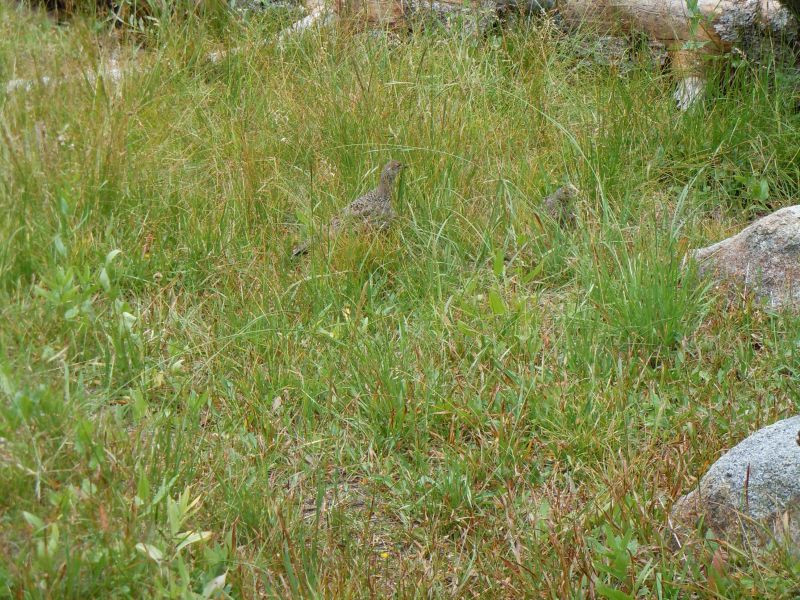 DSCN1759.JPG