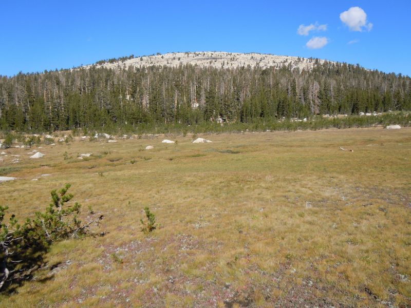 DSCN1776.JPG