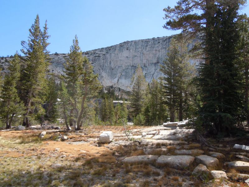 DSCN1786.JPG