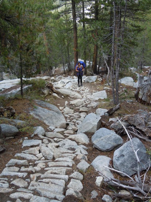 put a lot of work into trail building here
