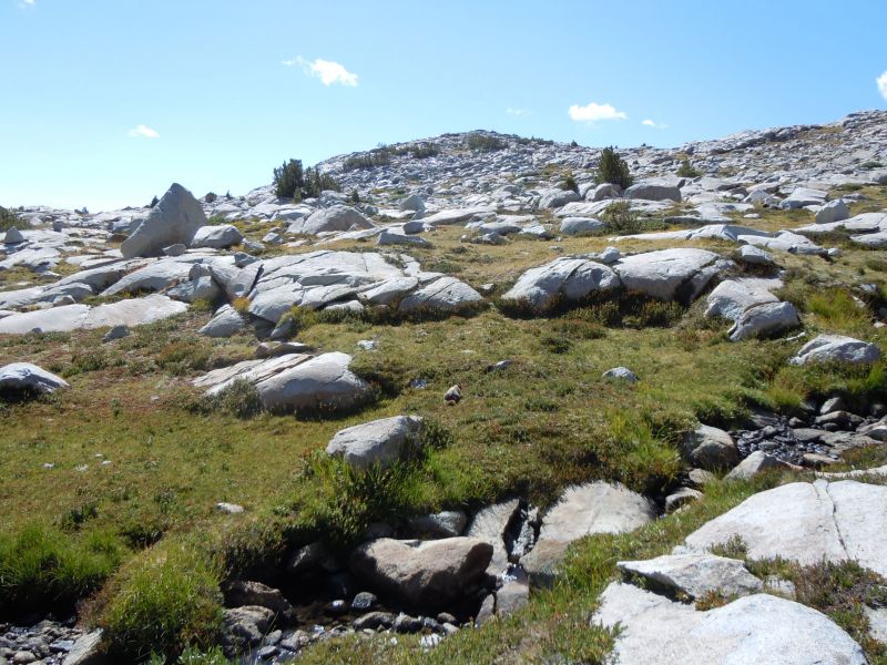 DSCN1831.JPG