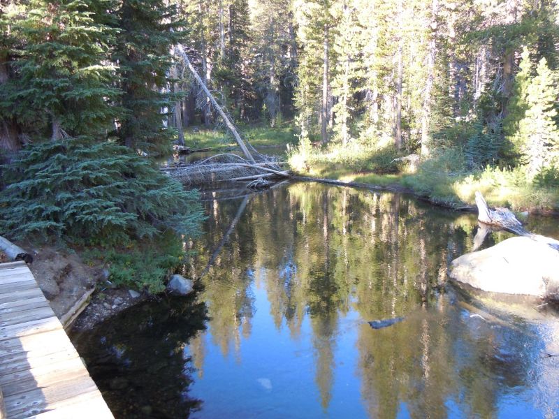 Shadow Creek
