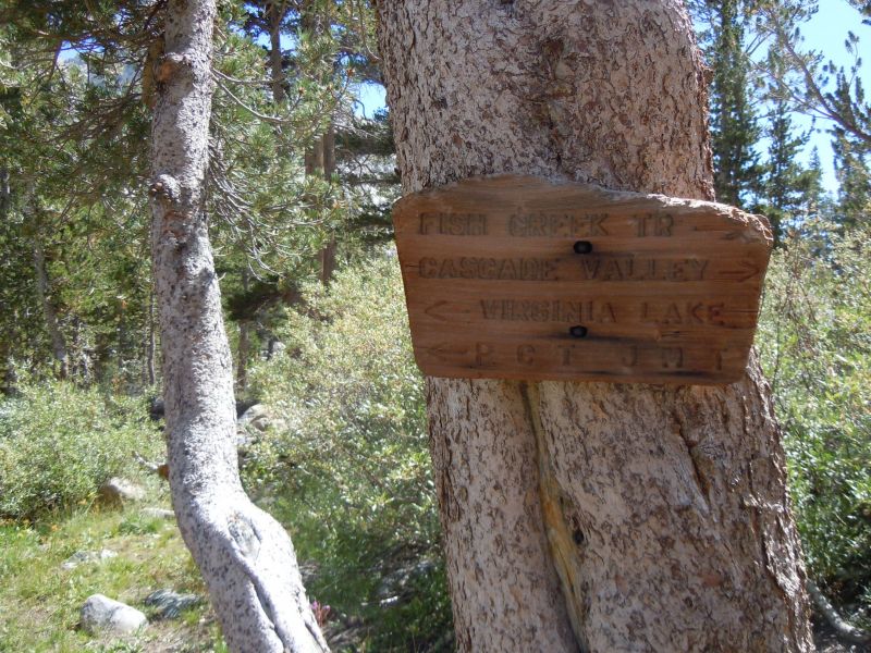 DSCN2218.JPG