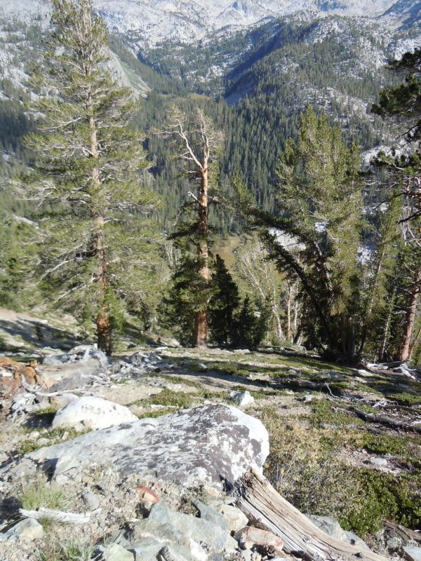 looking down at McGee pass trail junction
