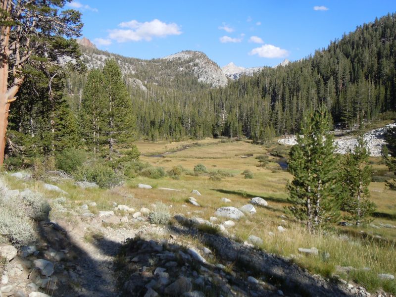 near McGee pass trail junction
