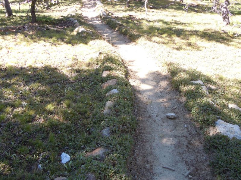 looks like a nice garden trail 
