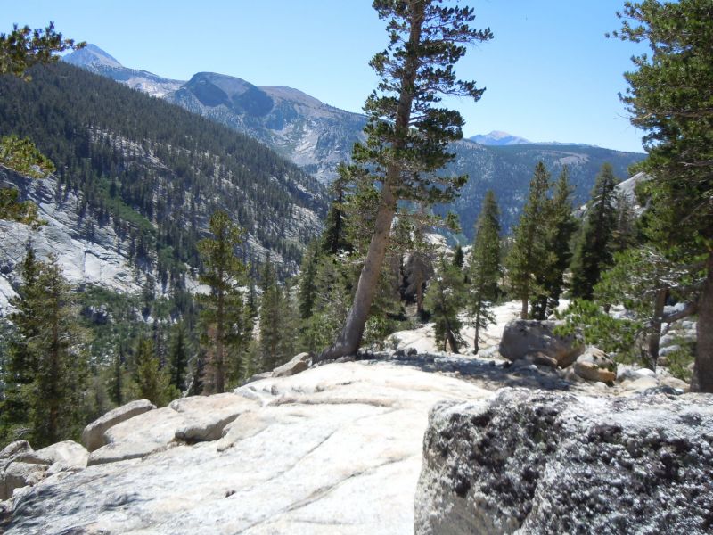 south side silver pass
