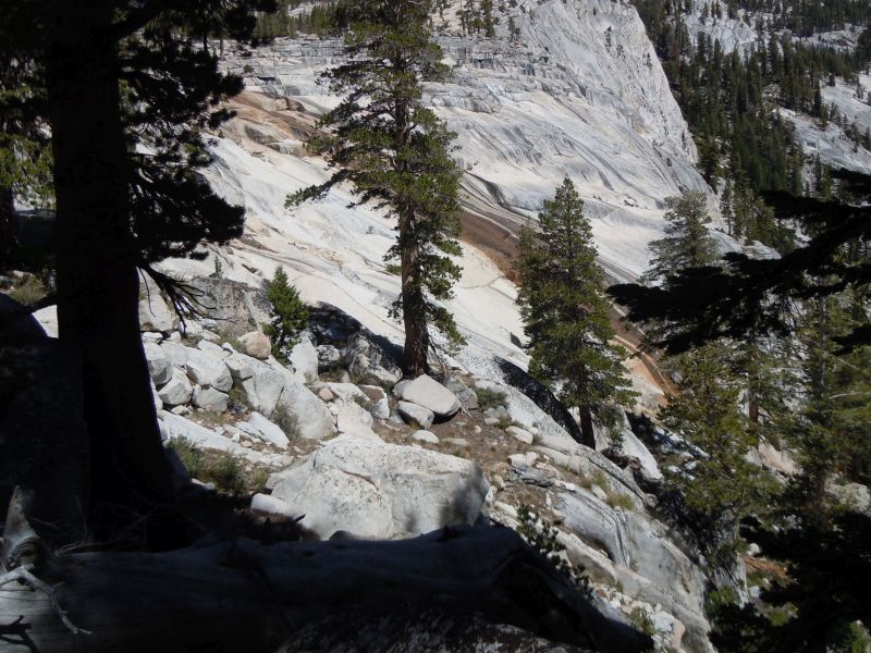 south side silver pass
