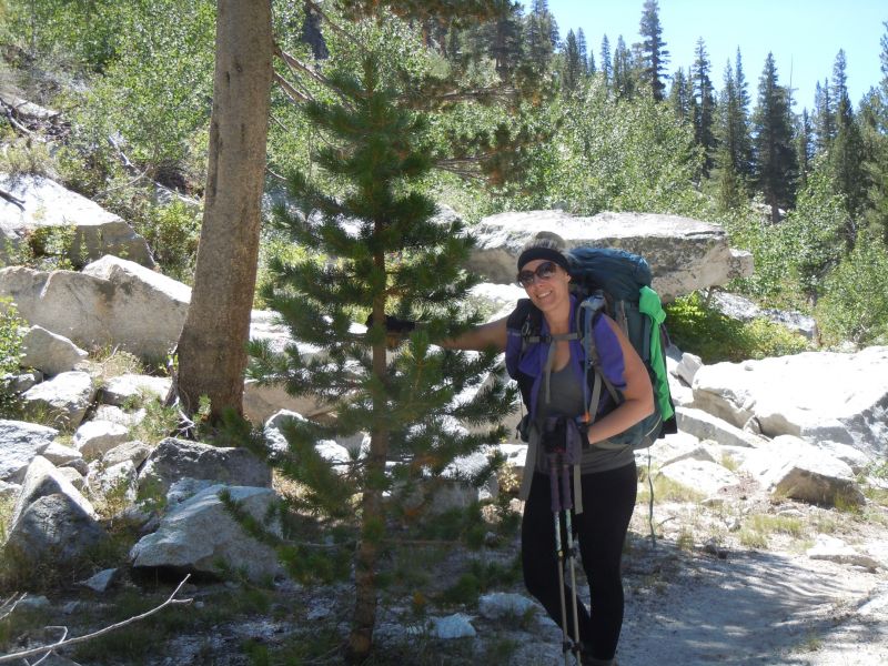 Lauren found her Christmas tree
