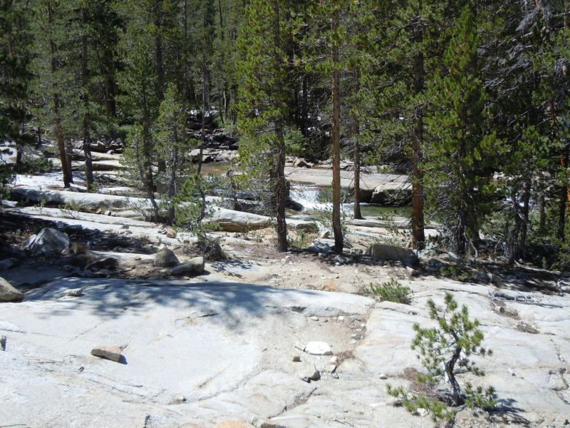 Bear Creek
