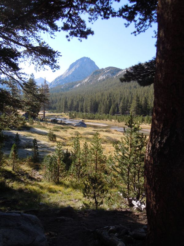 Frosty McClure Meadow
