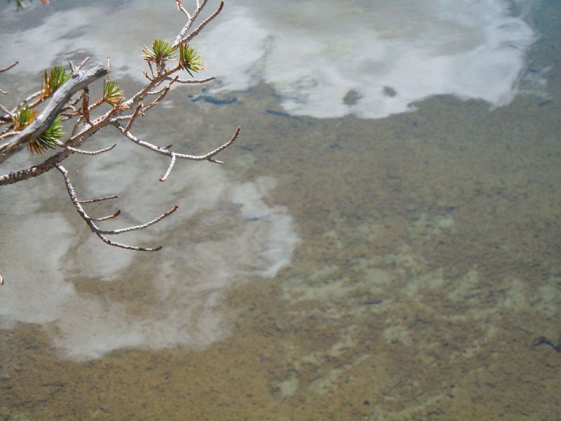 Reflection of clouds/ mountains obscure fish
