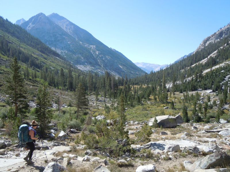 Little pete meadow
