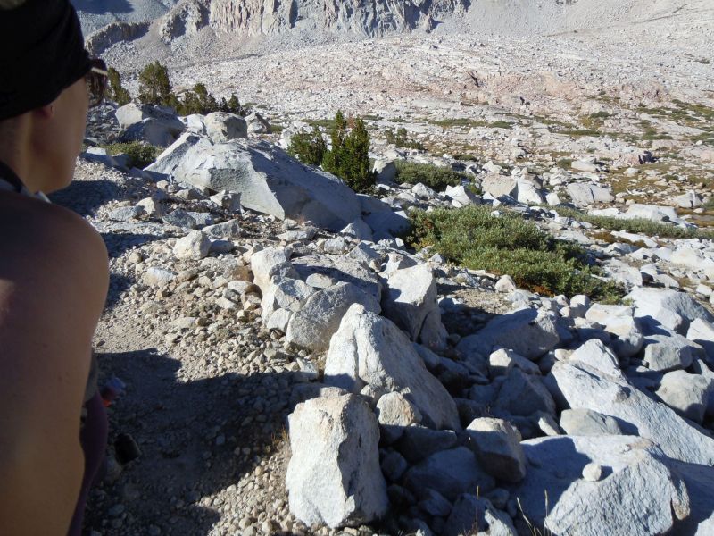 There is a Pika in the shadows....
