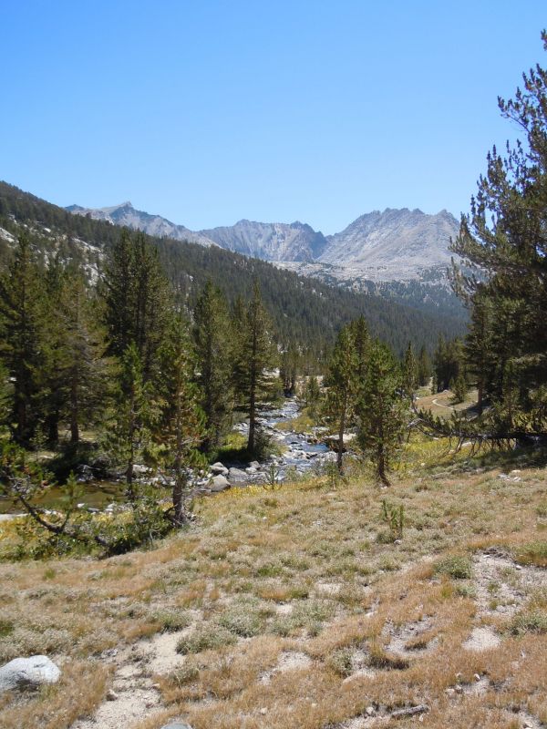 Looking south on kings river
