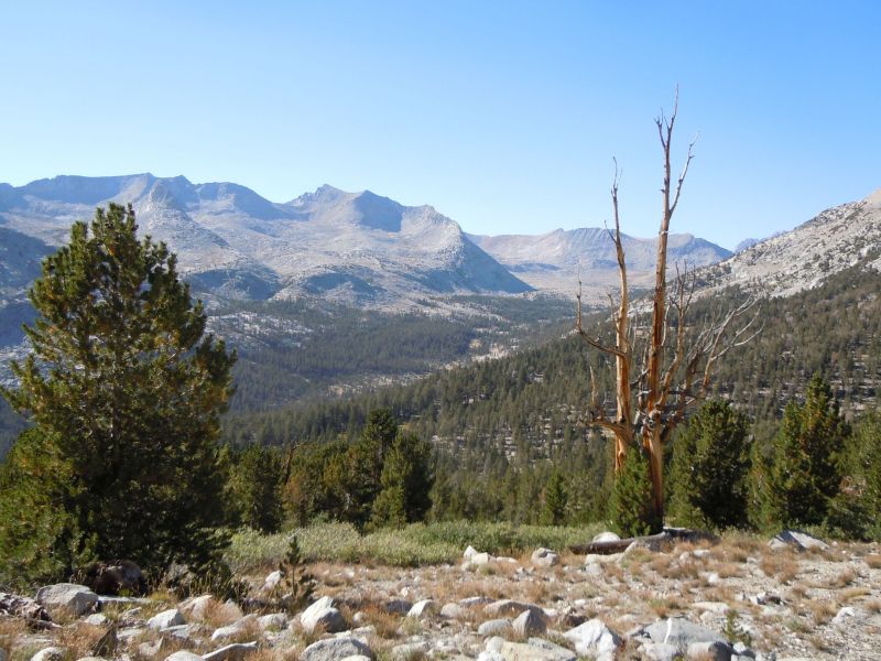 looking north over kings river basin. Mather pass is ticked just behind ridge in the center (started on the other side that morning)
