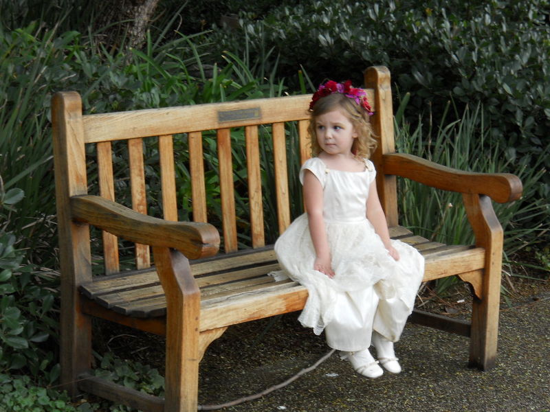 DSCN6817.JPG