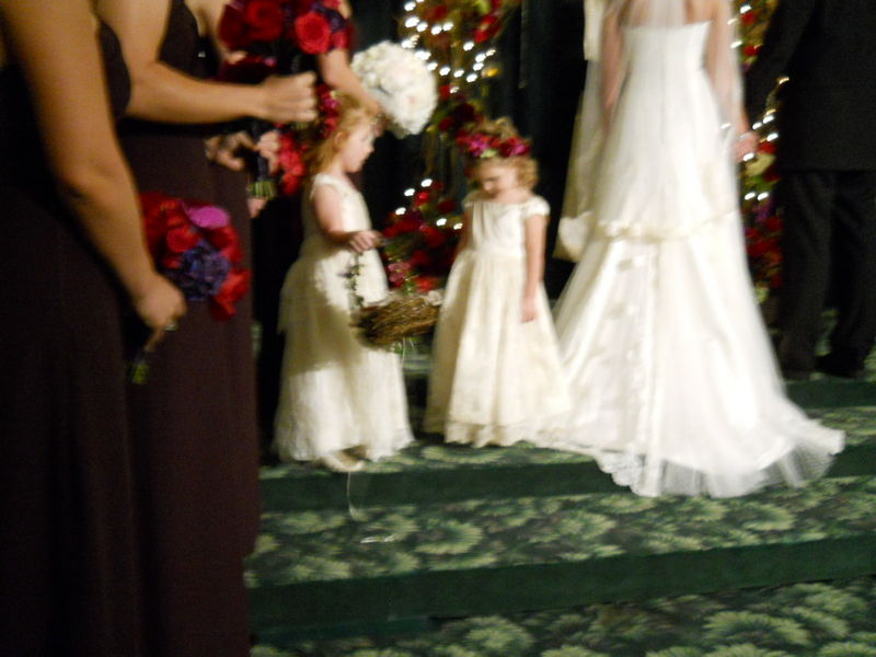 DSCN6862.JPG